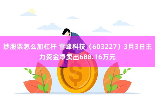 炒股票怎么加杠杆 雪峰科技（603227）3月3日主力资金净卖出688.16万元