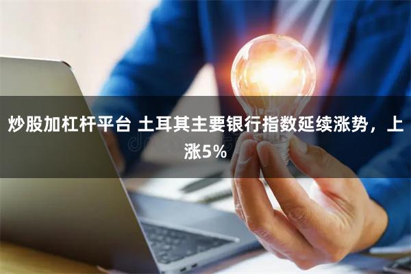 炒股加杠杆平台 土耳其主要银行指数延续涨势，上涨5%