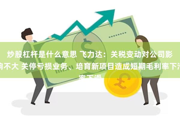 炒股杠杆是什么意思 飞力达：关税变动对公司影响不大 关停亏损业务、培育新项目造成短期毛利率下滑