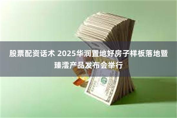 股票配资话术 2025华润置地好房子样板落地暨臻澐产品发布会举行