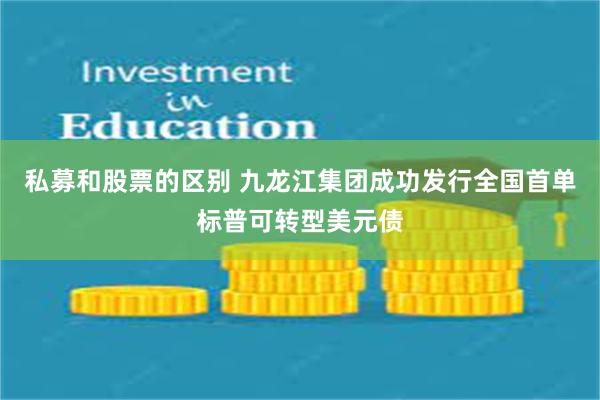 私募和股票的区别 九龙江集团成功发行全国首单标普可转型美元债