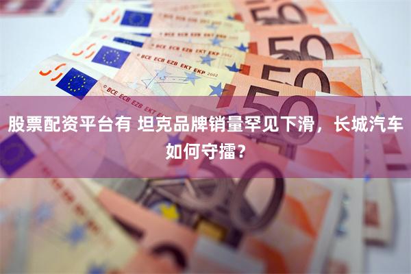 股票配资平台有 坦克品牌销量罕见下滑，长城汽车如何守擂？