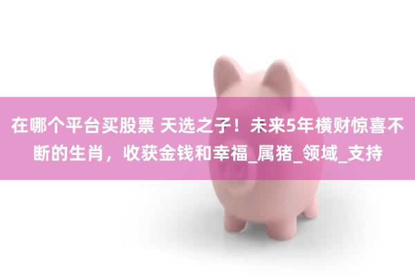 在哪个平台买股票 天选之子！未来5年横财惊喜不断的生肖，收获金钱和幸福_属猪_领域_支持